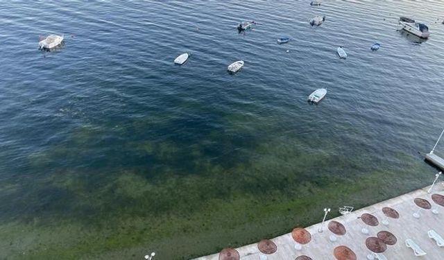 Gemlik Körfezi'nde Deniz Yeniden Berraklaştı