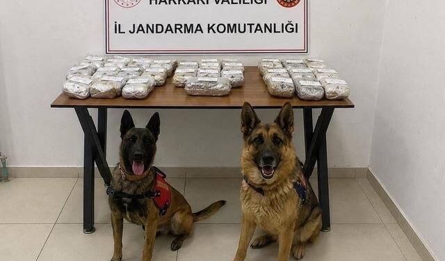 Hakkari Şemdinli'de 21,65 Kilogram Toz Esrar Yakalandı