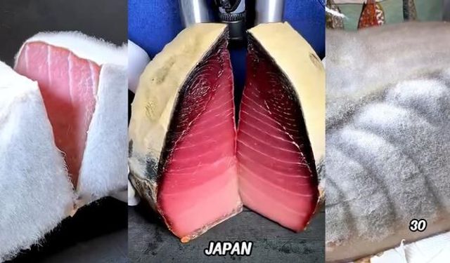 Japon Mutfağının Nadir Lezzeti: Küfle Olgunlaştırılmış Ton Balığı