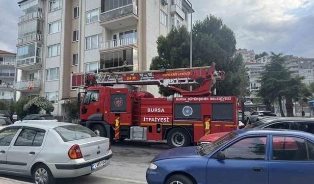 Mudanya'da Takılan Karga İtfaiye Ekiplerince Kurtarıldı, Diğer Kargalar Ekipleri Kuşattı