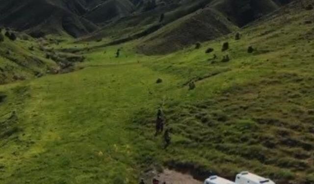 Tunceli'de Mantar Toplayan 3 Kişiye Ayı Saldırısı: Yaralılar Hastaneye Sevk Edildi