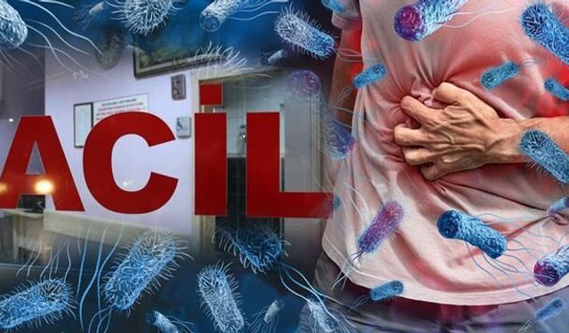 Yaz Sıcakları Besin Zehirlenmelerini Artırıyor: Uzmanlardan Uyarı