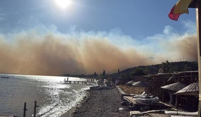 Ayvacık'taki Orman Yangınına Müdahale Sürüyor, Sahildeki İşletmeler Tahliye Edildi