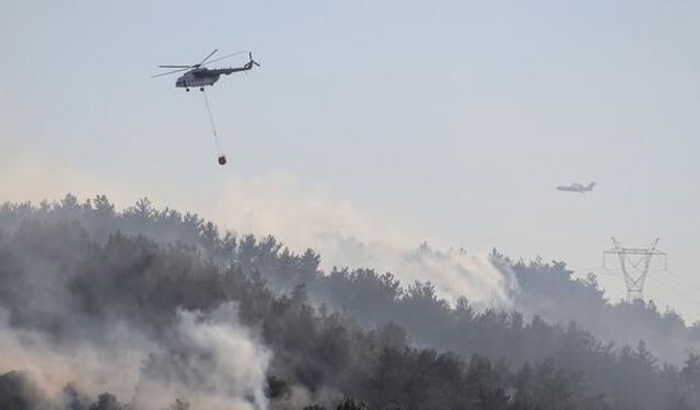 Balıkesir Altıeylül'de Orman Yangınına Çok Yönlü Müdahale