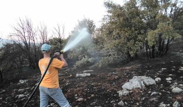 Besni'de Orman Yangını Kontrol Altına Alındı