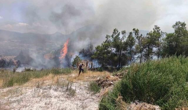 Bilecik'te Elektrik Direğinden Çıkan Yangın Korku Yarattı
