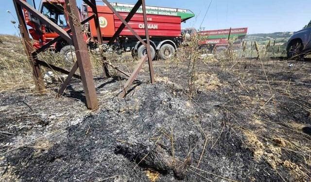 Bilecik'te Elektrik Tellerine Çarpan Kuşun Neden Olduğu Orman Yangını Kontrol Altına Alındı