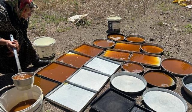 Bingöl'de Geleneksel Dut Pekmezi Üretimi Sürüyor