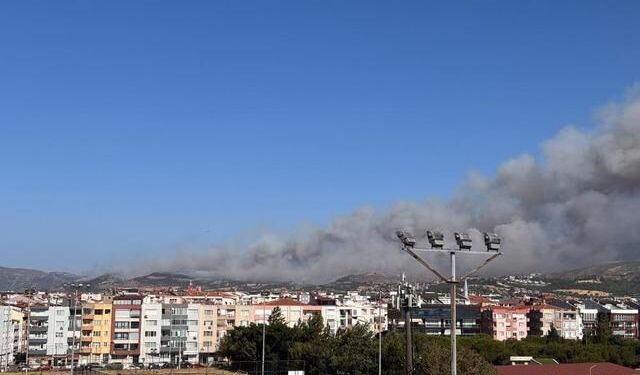 Çanakkale Saraycık Köyü'nde Orman Yangınına Yoğun Müdahale