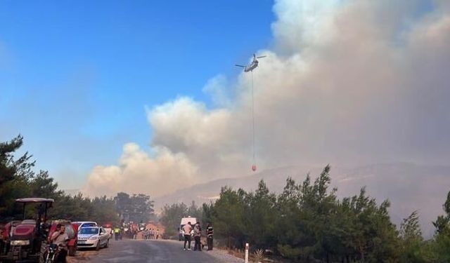 Çine Orman Yangınına Havadan ve Karadan Yoğun Müdahale Sürüyor