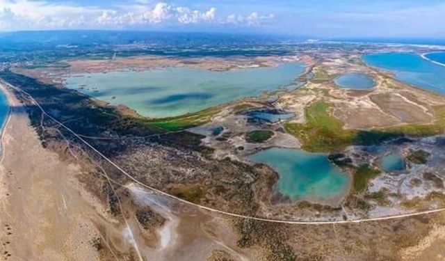 Deniz Kaplumbağaları Koruma Alanında Kural İhlallerine 699 Bin TL Ceza Uygulandı