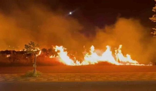 Diyarbakır Kayapınar'da Otluk Alanda Çıkan Yangın Hızla Kontrol Altına Alındı