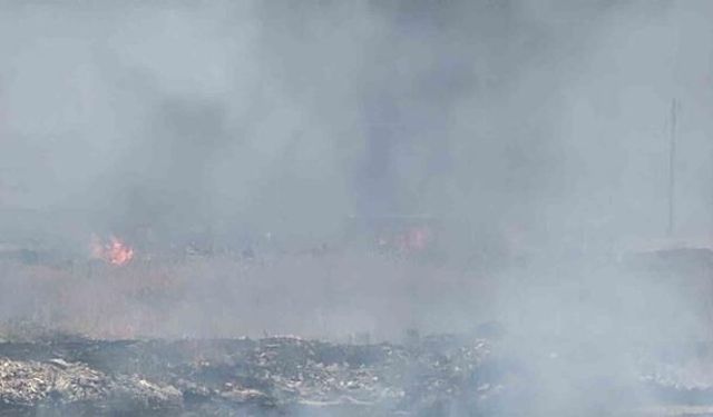 Diyarbakır Yenişehir'de Otluk Alanda Çıkan Yangın 400 Hektarı Etkiledi