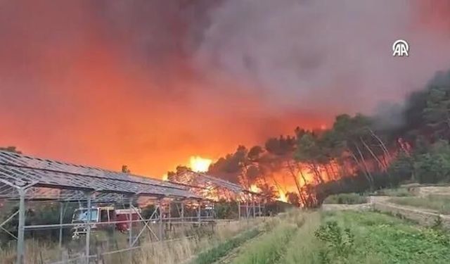Fransa ve İspanya'da Orman Yangınları Nedeniyle 130 Bin Kişi Tahliye Ediliyor
