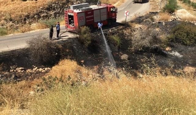 Gaziantep'te Fıstık Tarlasındaki Yangında Bir Kişi Hayatını Kaybetti