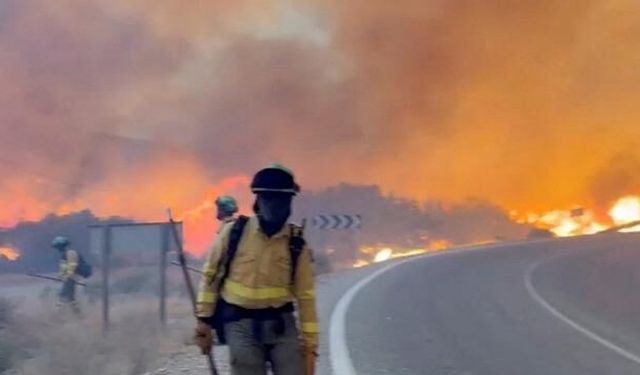 İspanya'nın Almeria bölgesinde orman yangını: 12 kişi yaşamını yitirdi