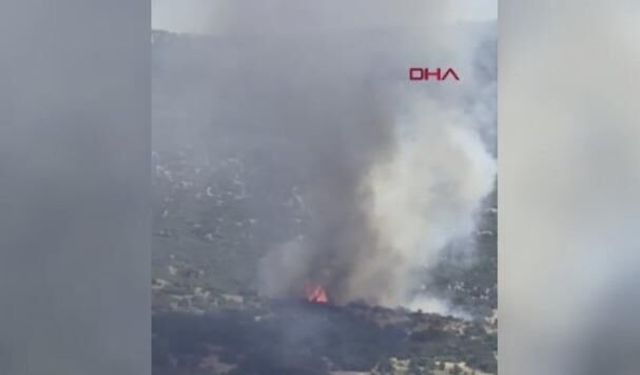 İzmir Bornova'da Orman Yangınına Havadan ve Karadan Müdahale Sürüyor