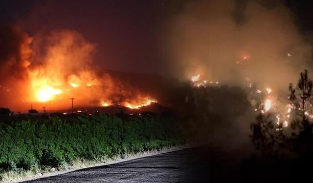 İzmir ve Antalya'daki Orman Yangınlarına Müdahale Devam Ediyor