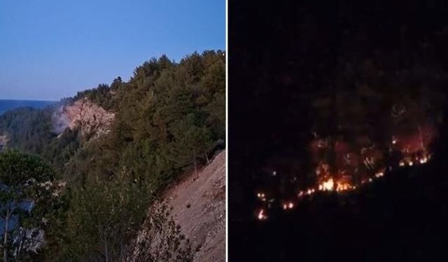 Kastamonu Cide'de Yabancı Cismin Patlaması Orman Yangınına Neden Oldu