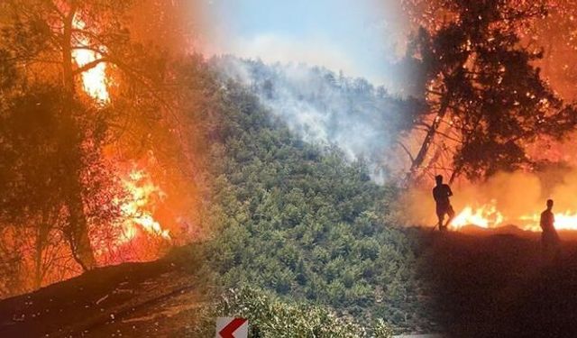 Mersin Aydıncık'ta Orman Yangını: 80 Ev Tahliye Edildi