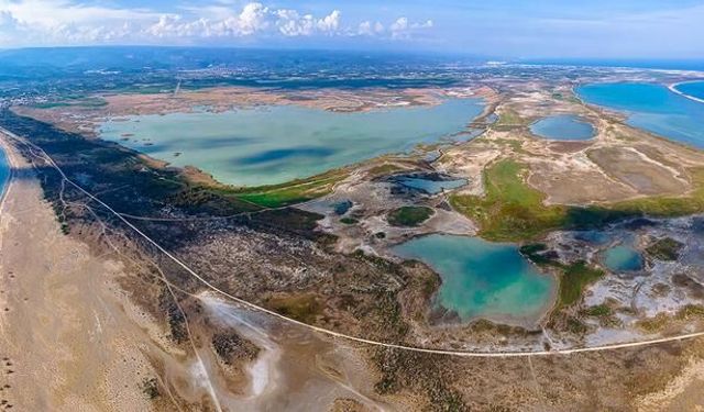 Mersin Silifke'de Deniz Kaplumbağaları Koruma Alanında Kural İhlaline 699 Bin TL Ceza