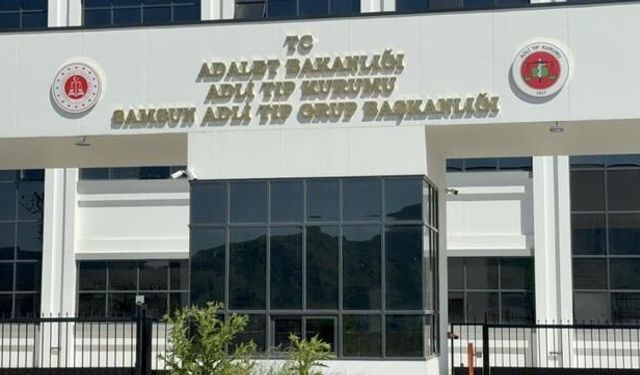 Terme'de ıhlamur ağacından düşen yaşlı adam yaşamını yitirdi
