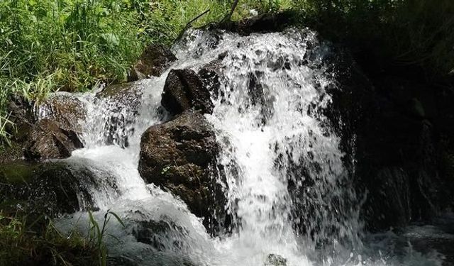Trabzon Çamlıbel Mahallesi'nin 300 Yıllık Doğal Kaynak Suyu Saniyede 120 Litre Akıyor