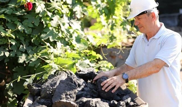 Zonguldak'ta Kömürden Teknolojik Seraya Geçiş: Salkım Domates İhracatı