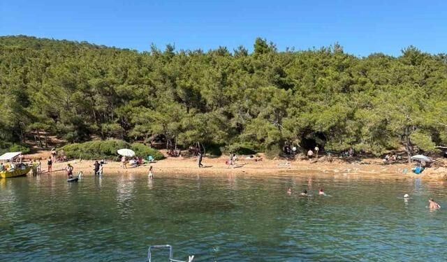 Ayvalık'ta Ormanlara Giriş Yasağına Rağmen Denetim Eksikliği Sürüyor