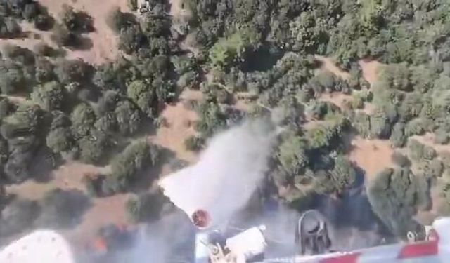 Çanakkale Bayramiç'teki Orman Yangınına Havadan ve Karadan Müdahale Devam Ediyor
