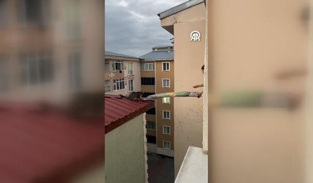 Çatıda Mahsur Kalan Kedi Ütü Masasıyla Kurtarıldı