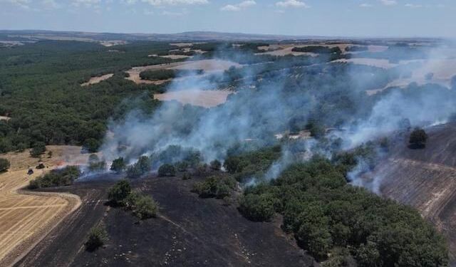 Çerkezköy'de hobi bahçesinden çıkan yangın ormanlık alanı tehdit etti