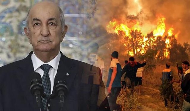 Cezayir Cumhurbaşkanı Tebbun'dan Orman Yangınlarını Kasten Çıkaranlara İdam Cezası Talimatı