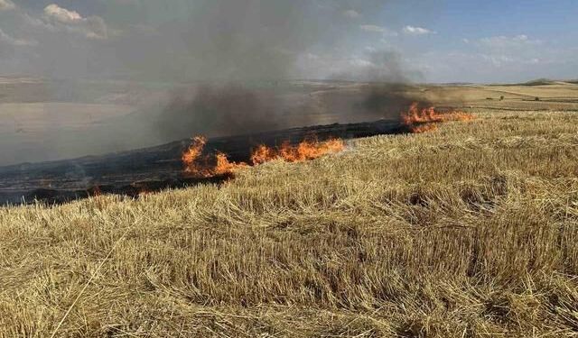 Çorum Alaca'da Anız Yangını Ekili Arazilere Sıçramadan Söndürüldü