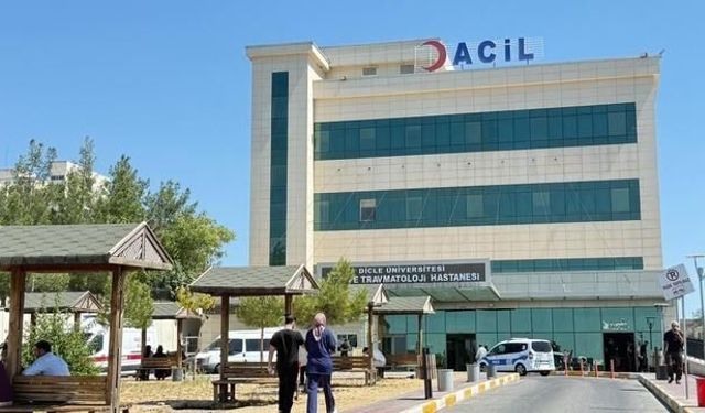 Diyarbakır Sur'daki Silahlı Kavgada 2 Kişi Hayatını Kaybetti, Failler Tutuklandı