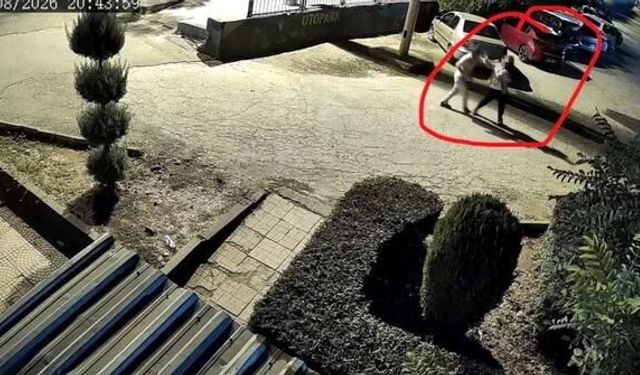 Diyarbakır'da Kucağında Çocuğu Varken Silahlı Saldırıya Uğrayan Kadın Hayatını Kaybetti