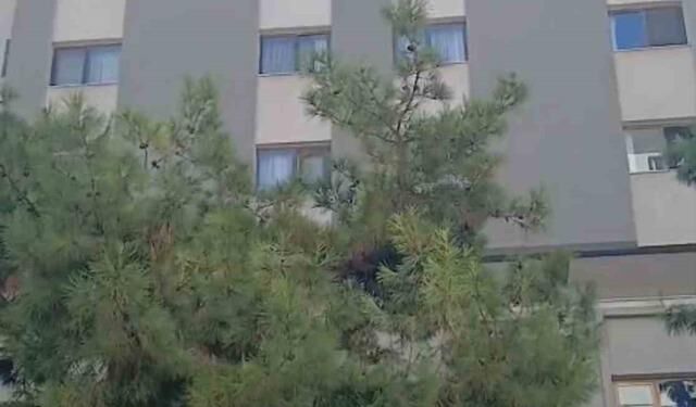 İlkadım Öğretmenevi Duvarından Kopan Beton Parçaları Kaldırıma Düştü