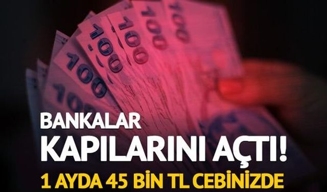 Mevduat Faizlerinde Güncel Durum: 32 Günlük 1,5 Milyon TL Getirisi 45 Bin TL'yi Aştı