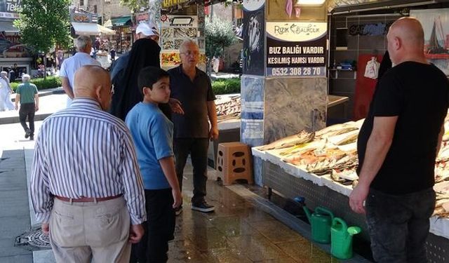 Palamut Sezonu Bereketli Geçmeye Hazırlanıyor