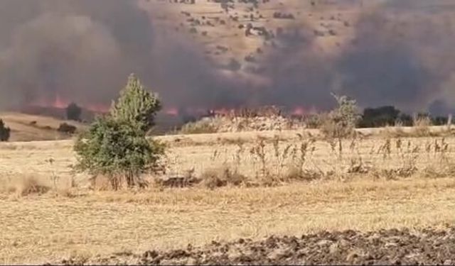 Seyitgazi'de Tarım Arazisinde Çıkan Yangın Kontrol Altına Alındı