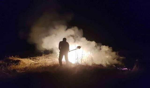 Sivas'ta buğday tarlasında yangın: 20 dönüm alan küle döndü
