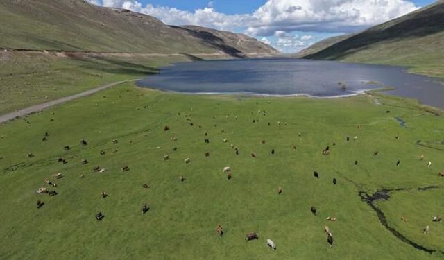 Ünlendi Barajı'nda Su Seviyesi Yükseliyor: Iğdır Ovası Sulamada Yeni Dönem Başlıyor