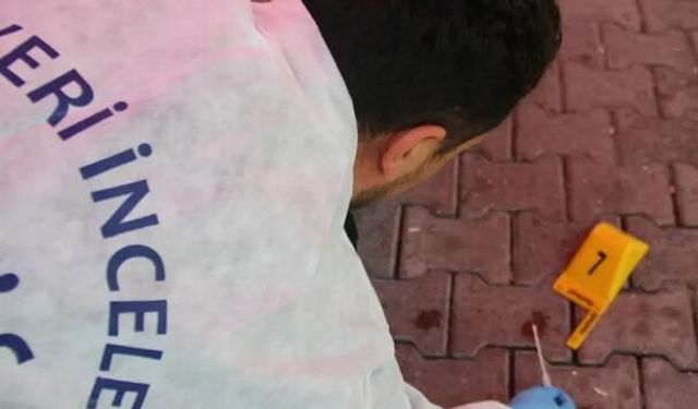 Ankara Çubuk'ta Park Halindeki Otomobilde İki Kişi Ölü Bulundu