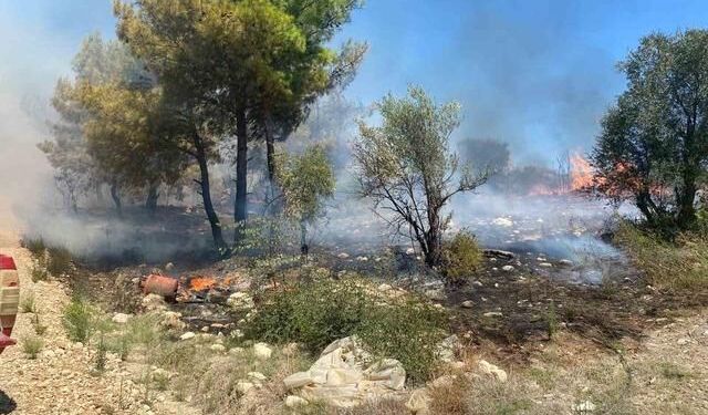 Antalya Serik'te Zirai Alanda Çıkan Yangın Hızla Kontrol Altına Alındı