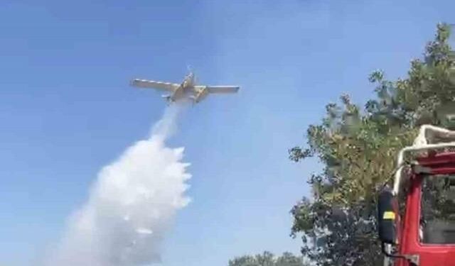 Balıkesir Kocaavşar Mahallesi yakınlarında orman yangını çıktı