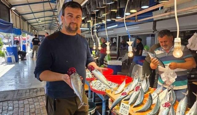 Bandırma Balık Hali'nde Palamut ve Diğer Balıklarda Canlılık
