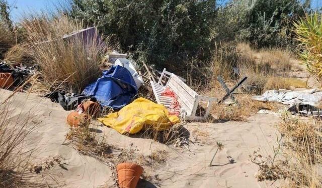 Çeşme Altınkum'da Koruma Altındaki Kum Zambakları Çöpler Arasında Kaldı