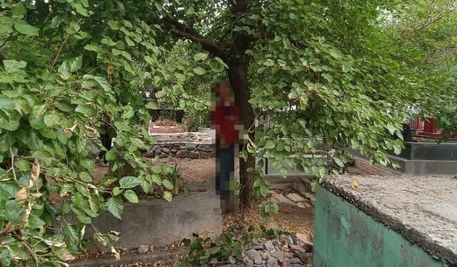 Diyarbakır'da Mezarlıkta Ağaca Asılı Bir Kişi Ölü Bulundu