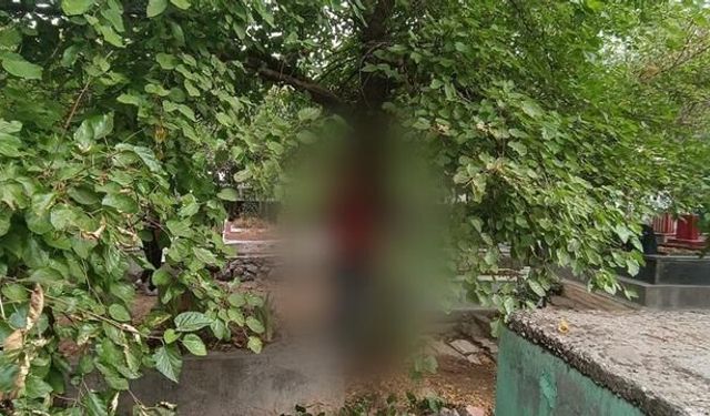 Diyarbakır'da mezarlıkta ağaca asılı halde ölü bulundu