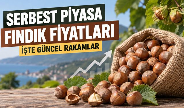 Serbest Piyasa Fındık Fiyatları: Bugün Fındık Kaç TL?